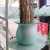 Glassware » Vases